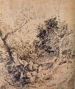 Peter Paul Rubens Forest landscape painting